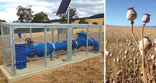 Tasmanian Irrigation Schemes Tasmanian Irrigation Schemes