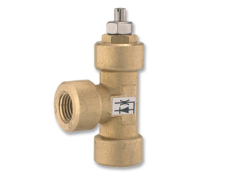 Needle and check valve (opening speed control)